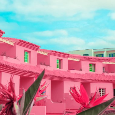 Minimalist moda tropikal konumu. Pembe Tatil Köyü ve bitki. Seyahat konsepti. Kanarya Adası