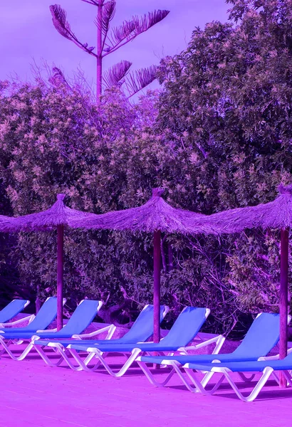 Espreguiçadeiras Fundo Resort Luxo Viagens Verão Férias Relaxe Conceito Tendência — Fotografia de Stock