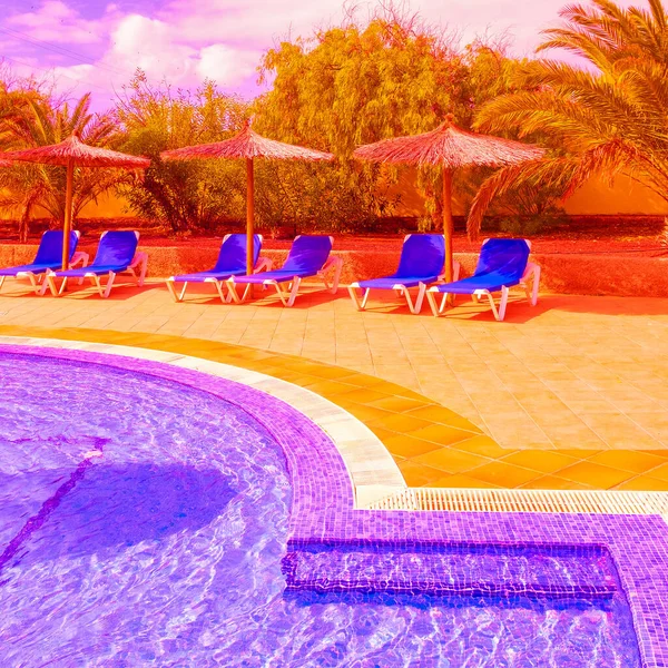 Mode Tropischer Umgebung Resort Schwimmbad Kanarische Inseln Reisewerbung Lockert Konzept — Stockfoto