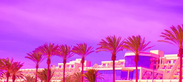 Snygg Tropisk Plats Palm Och Utsiktsplats Kanarieöarna Very Peri Colours — Stockfoto