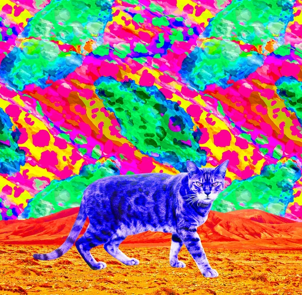 現代的な最小限のコラージュアート壁紙 写真やテクスチャのミックス Leopard 創造的なキティ — ストック写真