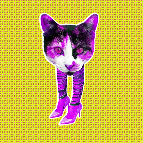 当代数字拼贴艺术 时尚优雅的凯蒂猫 妇女权力 女权主义 明信片 8行军概念 — 图库照片