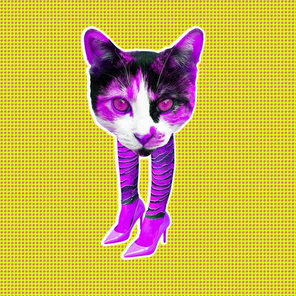 Hedendaagse Digitale Collage Kunst Stijlvolle Elegante Kitty Vrouwenmacht Gemeenschappen Feminisme — Stockfoto