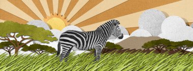 geri dönüşümlü kağıt arka plan yapılmış zebra