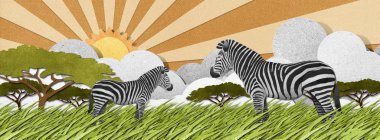 geri dönüşümlü kağıt arka plan yapılmış zebra