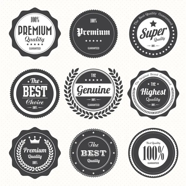 Set of retro vintage badges and labels — Stock Vector