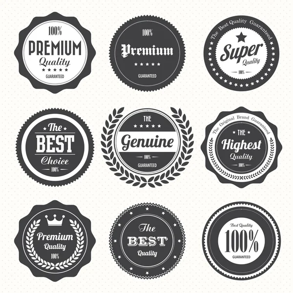 Set Retro Vintage Badges en Etiketten — Stockvector