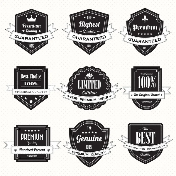 Set of retro vintage badges and labels — Stock Vector