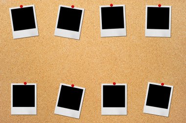 mantar pano arka plan resmi