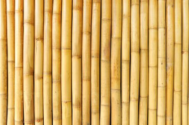 Bambu duvar arka plan