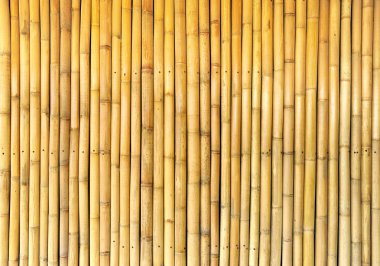 Bambu duvar arka plan