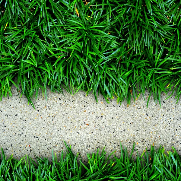 草とコンクリートの背景. — ストック写真