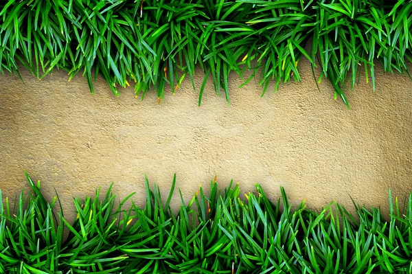 Gras und Beton Hintergrund. — Stockfoto