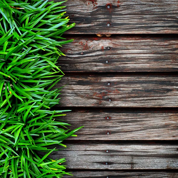 Green grass on wood background. — Stock Photo, Image