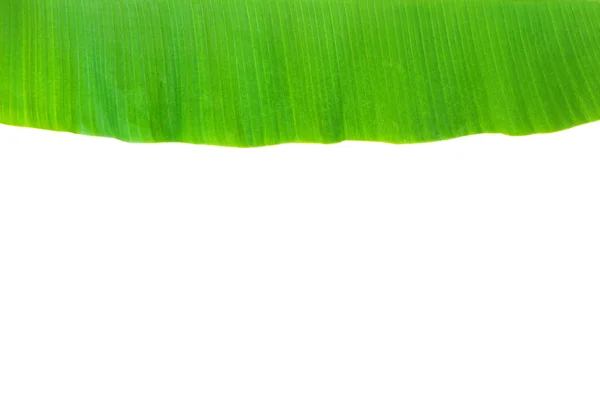 Banana leaf — Stock Photo, Image