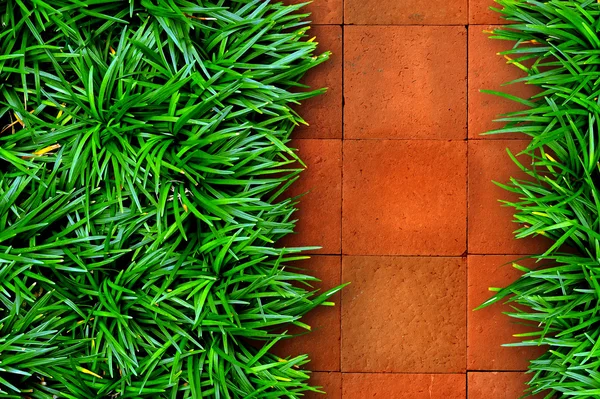 Gräs och rött tegel bakgrund. — Stockfoto