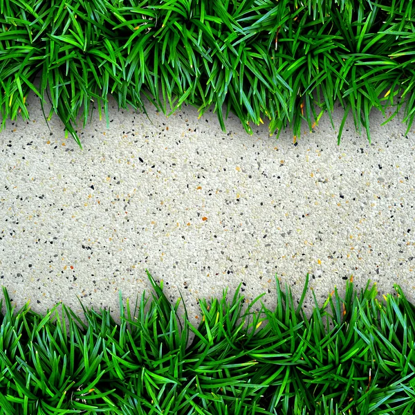 Gras en beton achtergrond. — Stockfoto
