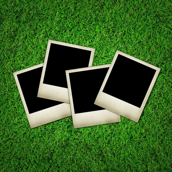 Foto in bianco su sfondo verde erba — Foto Stock