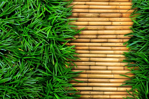 Hierba verde sobre fondo de bambú . — Foto de Stock