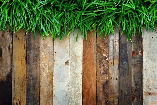Erba verde su sfondo di legno . — Foto Stock