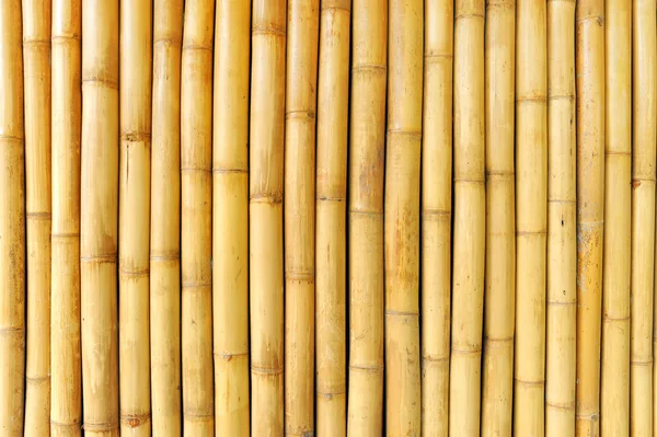 Бамбук стіни фону — стокове фото