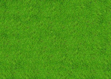 Yeşil çimen alanı arkaplanı