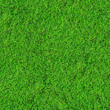 Yeşil çimen alanı arkaplanı