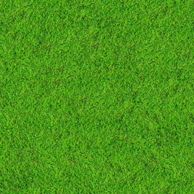 Yeşil çimen alanı arkaplanı