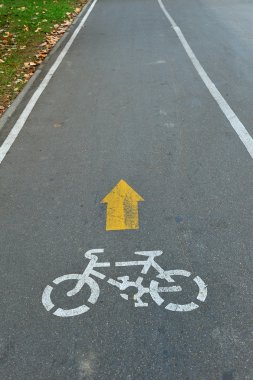 Parkta bisiklet yolu