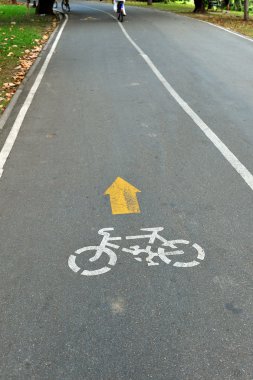 Parkta bisiklet yolu