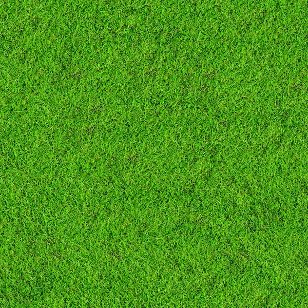 Yeşil çimen alanı arkaplanı