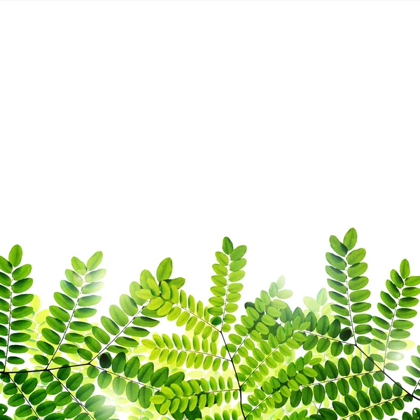 Fresh Green leaves background — Stock Photo, Image