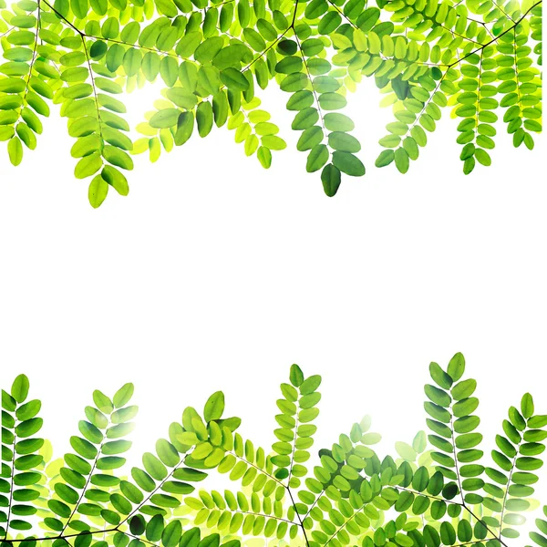 新鲜绿叶背景 — 图库照片