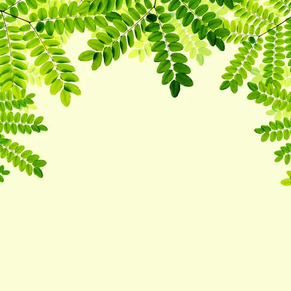 Fresco verde foglie sfondo — Foto Stock