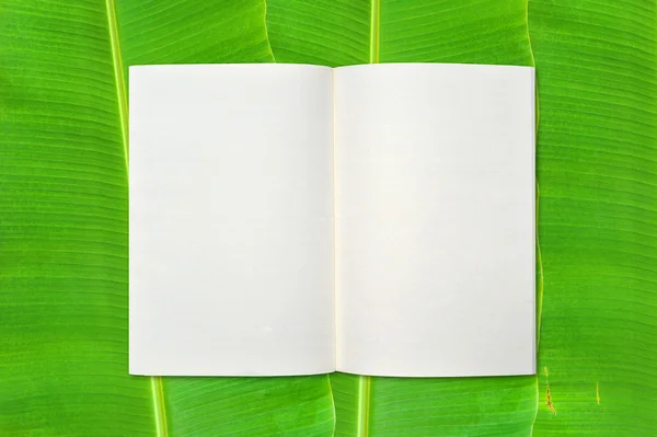 Anteckningsbok på banana leaf bakgrund — Stockfoto