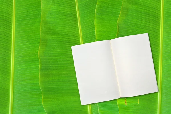 Notitieblok op bananen blad achtergrond — Stockfoto