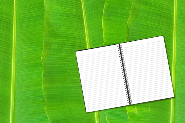 Notebook on banana leaf background — Stock Photo, Image