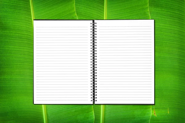 Cuaderno sobre fondo de hoja de plátano —  Fotos de Stock