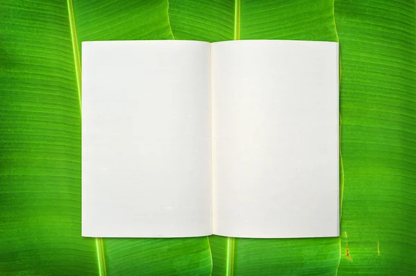 Notebook sobre fundo de folha de banana — Fotografia de Stock