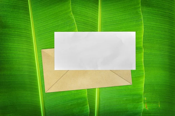 Enveloppe avec papier blanc sur fond de feuille de banane — Photo