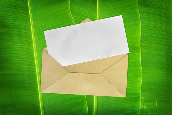 Envelope with blank paper on banana leaf background — Stock Photo, Image