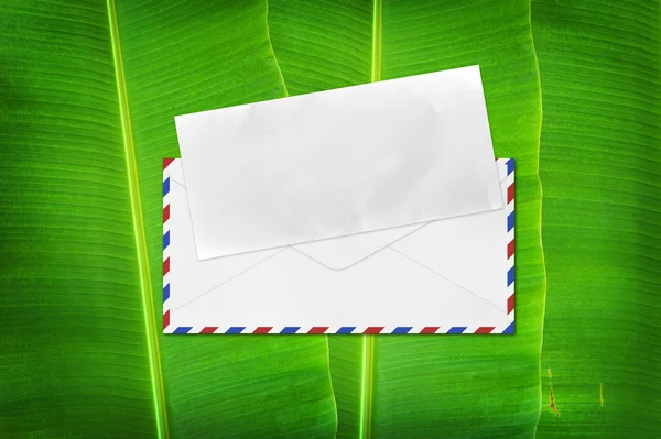 Envelope with blank paper on banana leaf background — Stock Photo, Image