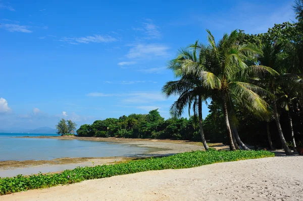 Playa tropical — Foto de Stock