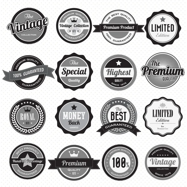 Set Retro Vintage Badges en Etiketten — Stockvector