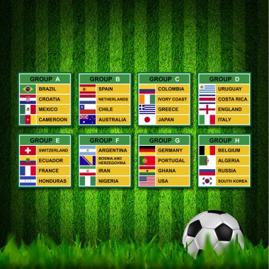 Brezilya Kupası 2014, Futbol Turnuvası.