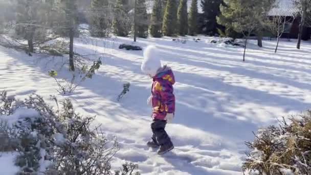 Маленькая девочка идет по снегу мимо можжевельника кусты в яркий день — стоковое видео