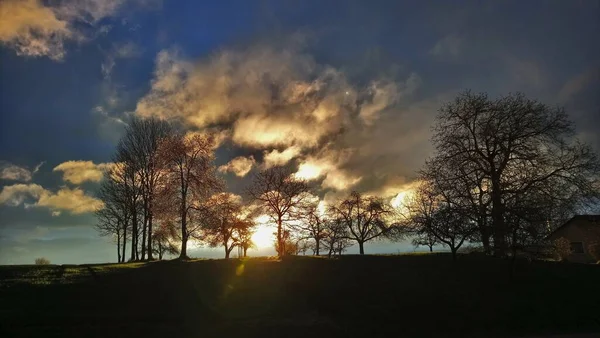 My fotos from Nature