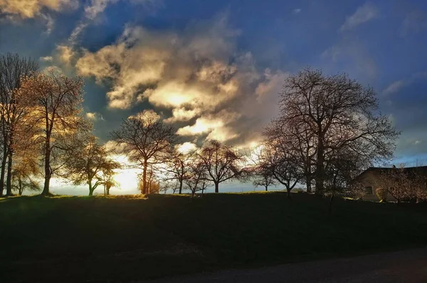 My fotos from Nature