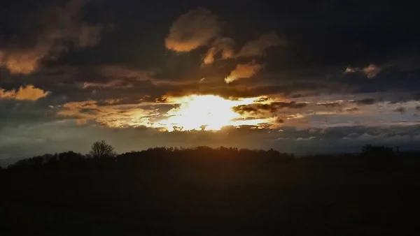 Meine Fotos Aus Der Natur — Stockfoto