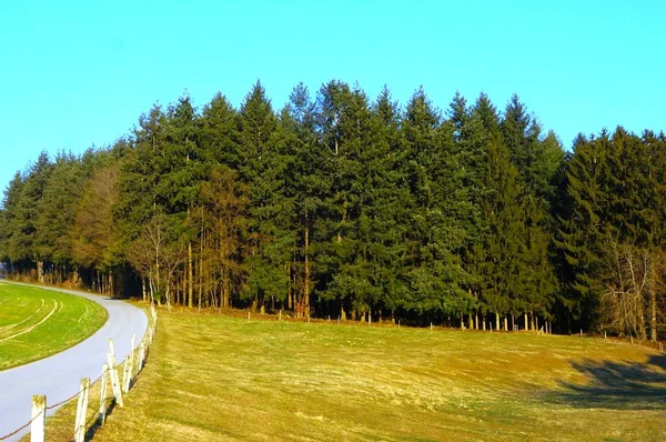 My fotos from Nature